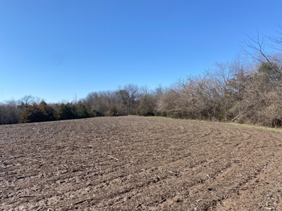 Van Buren County Iowa Hunting Land - image 29