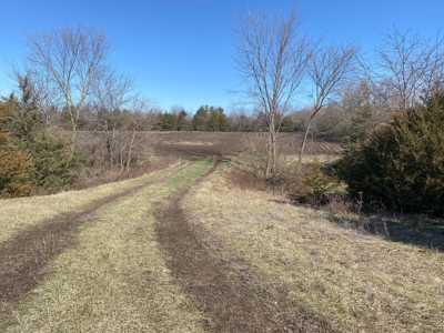 Van Buren County Iowa Hunting Land - image 35