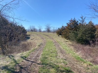 Van Buren County Iowa Hunting Land - image 34