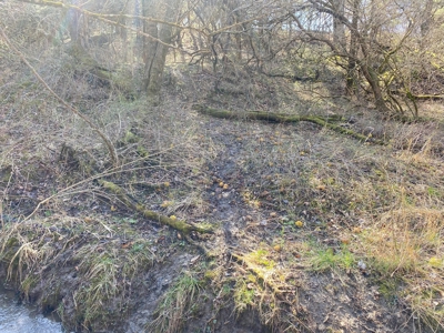 Van Buren County Iowa Hunting Land - image 25