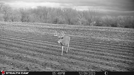 Van Buren County Iowa Hunting Land - image 49