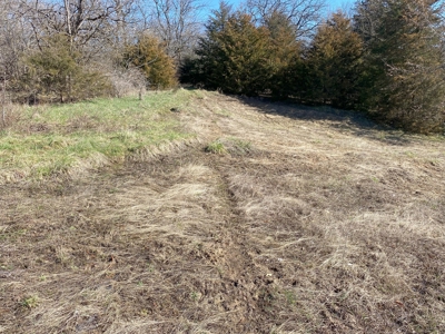 Van Buren County Iowa Hunting Land - image 23