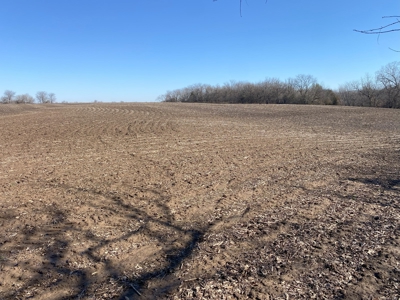 Van Buren County Iowa Hunting Land - image 20
