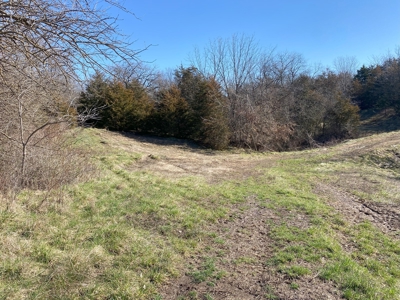 Van Buren County Iowa Hunting Land - image 22