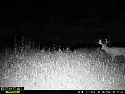 Van Buren County Iowa Hunting Land - image 44