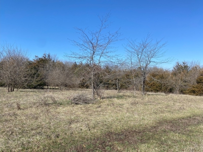 Van Buren County Iowa Hunting Land - image 36