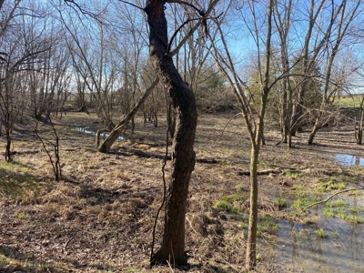 Van Buren County Iowa Hunting Land - image 11
