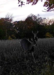 Van Buren County Iowa Hunting Land - image 48