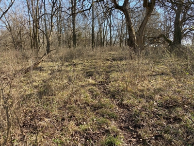 Van Buren County Iowa Hunting Land - image 15