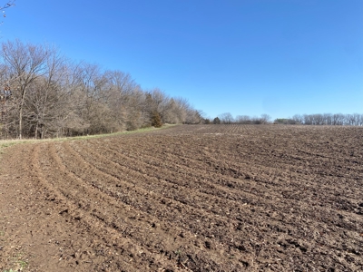 Van Buren County Iowa Hunting Land - image 12
