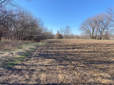 Van Buren County Iowa Hunting Land - image 19