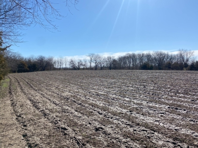 Van Buren County Iowa Hunting Land - image 30