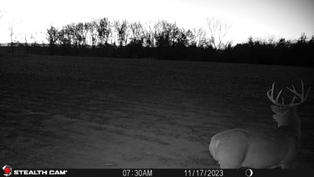 Van Buren County Iowa Hunting Land - image 42