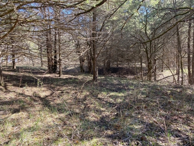 Van Buren County Iowa Hunting Land - image 26