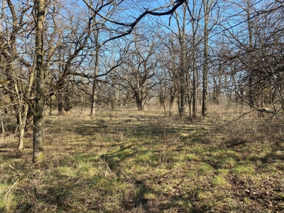Van Buren County Iowa Hunting Land - image 14