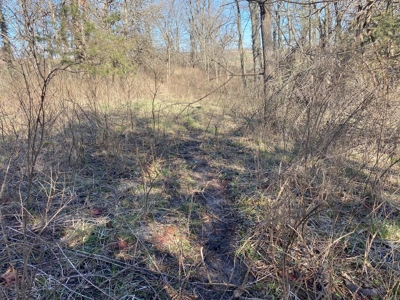 Van Buren County Iowa Hunting Land - image 24