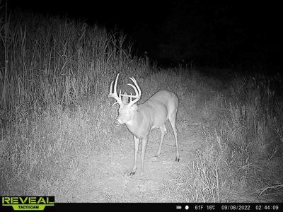 Van Buren County Iowa Hunting Land - image 47
