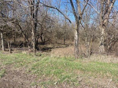 Van Buren County Iowa Hunting Land - image 37