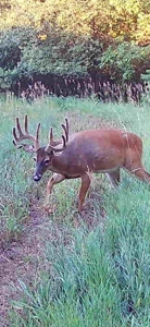 Van Buren County Iowa Hunting Land - image 45