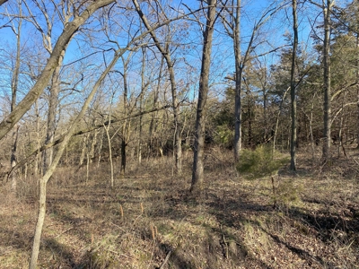 Van Buren County Iowa Hunting Land - image 13