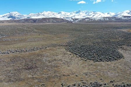 Nevada Ranchette Horse Property For Sale Lamoille/Spring Crk - image 5