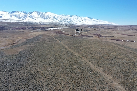 Nevada Ranchette Horse Property For Sale Lamoille/Spring Crk - image 9