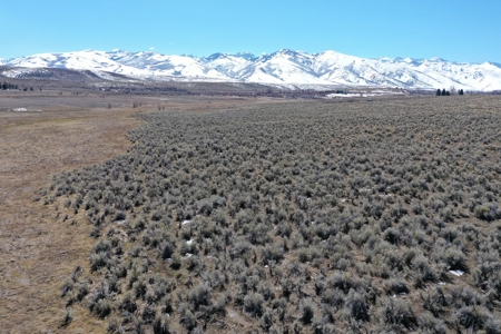 Nevada Ranchette Horse Property For Sale Lamoille/Spring Crk - image 12
