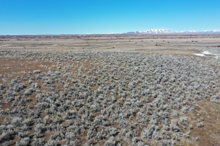 Nevada Ranchette Horse Property For Sale Lamoille/Spring Crk - image 15