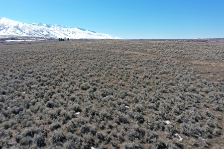 Nevada Ranchette Horse Property For Sale Lamoille/Spring Crk - image 13