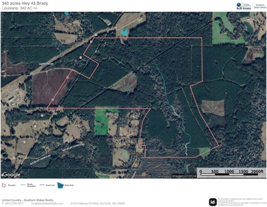 340 Acres Hunting Timberland for Sale St Helena Parish, LA - image 9