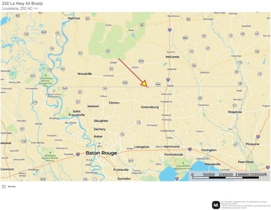 340 Acres Hunting Timberland for Sale St Helena Parish, LA - image 7