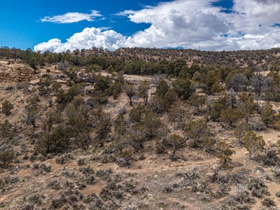 Large Recreational Lot For Sale in Cedaredge, Colorado - image 25