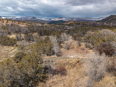Large Recreational Lot For Sale in Cedaredge, Colorado - image 10