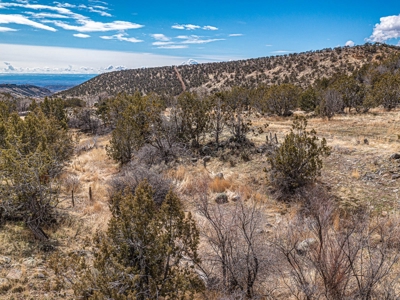 Large Recreational Lot For Sale in Cedaredge, Colorado - image 11