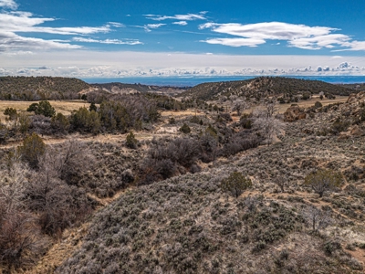 Large Recreational Lot For Sale in Cedaredge, Colorado - image 14