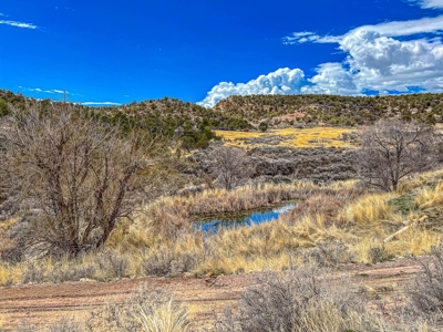 Large Recreational Lot For Sale in Cedaredge, Colorado - image 21