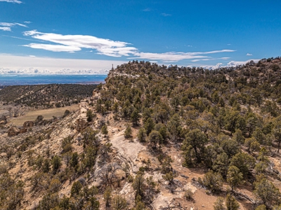 Large Recreational Lot For Sale in Cedaredge, Colorado - image 1
