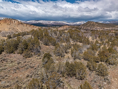 Large Recreational Lot For Sale in Cedaredge, Colorado - image 28