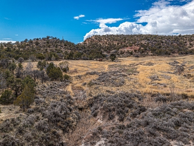 Large Recreational Lot For Sale in Cedaredge, Colorado - image 2