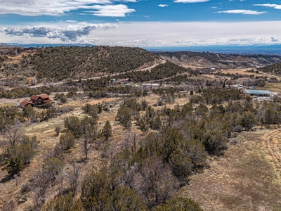 Large Recreational Lot For Sale in Cedaredge, Colorado - image 20