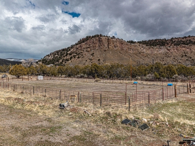 Large Recreational Lot For Sale in Cedaredge, Colorado - image 7
