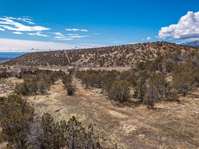 Large Recreational Lot For Sale in Cedaredge, Colorado - image 8