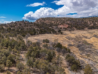 Large Recreational Lot For Sale in Cedaredge, Colorado - image 26