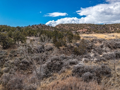 Large Recreational Lot For Sale in Cedaredge, Colorado - image 6