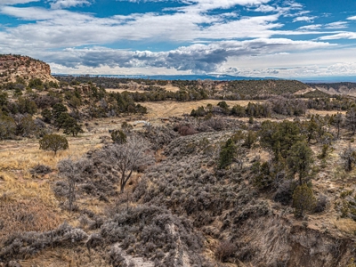 Large Recreational Lot For Sale in Cedaredge, Colorado - image 24