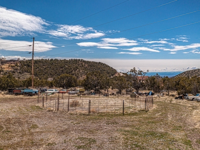 Large Recreational Lot For Sale in Cedaredge, Colorado - image 12