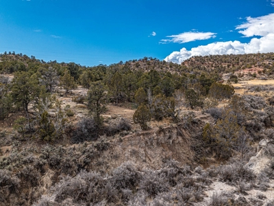 Large Recreational Lot For Sale in Cedaredge, Colorado - image 4
