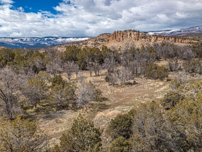 Large Recreational Lot For Sale in Cedaredge, Colorado - image 9