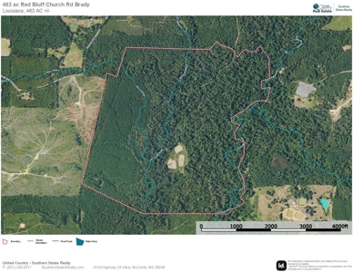 463 Acres Timberland on Tickfaw River St Helena Parish, LA - image 13