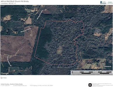 463 Acres Timberland on Tickfaw River St Helena Parish, LA - image 12